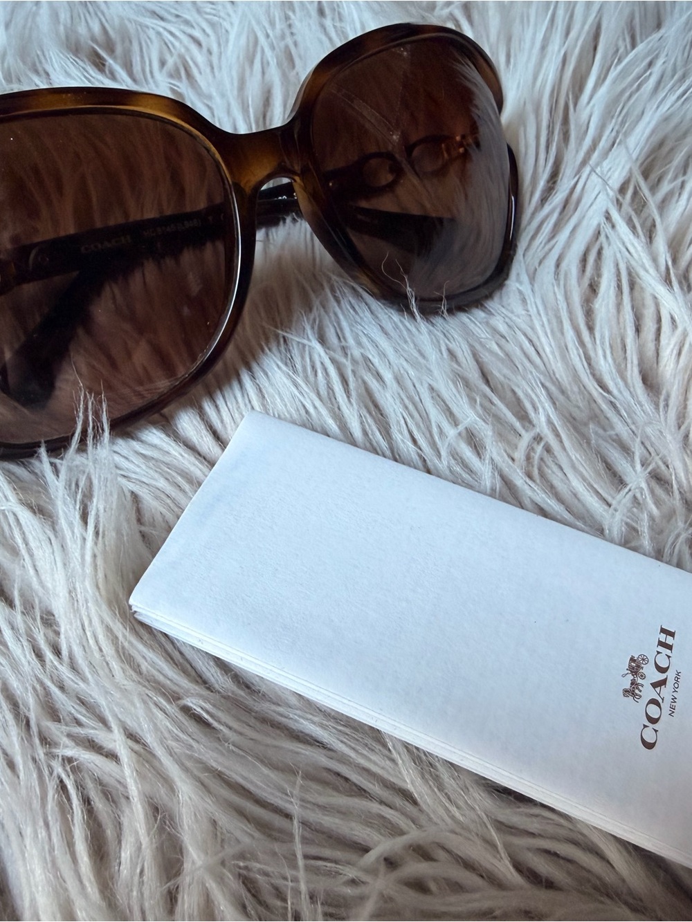 Coach Brown Gradient Oversized Sunglasses for Women